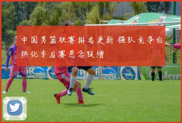 中国男篮联赛排名更新 强队竞争白热化季后赛悬念陡增