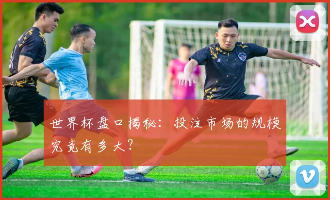 世界杯盘口揭秘：投注市场的规模究竟有多大？