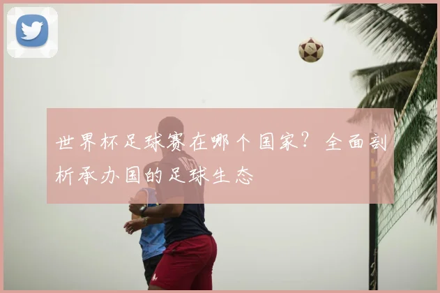 世界杯足球赛在哪个国家？全面剖析承办国的足球生态