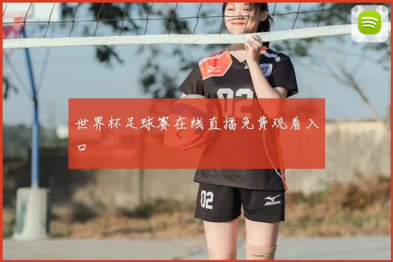 世界杯足球赛在线直播免费观看入口