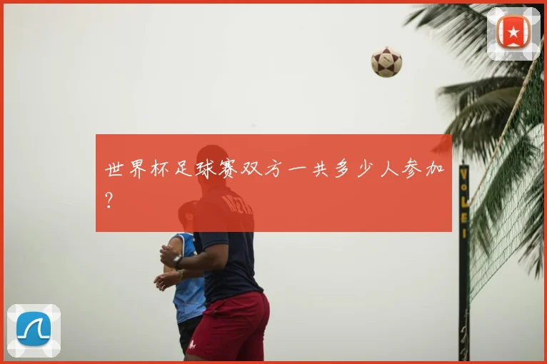 世界杯足球赛双方一共多少人参加？