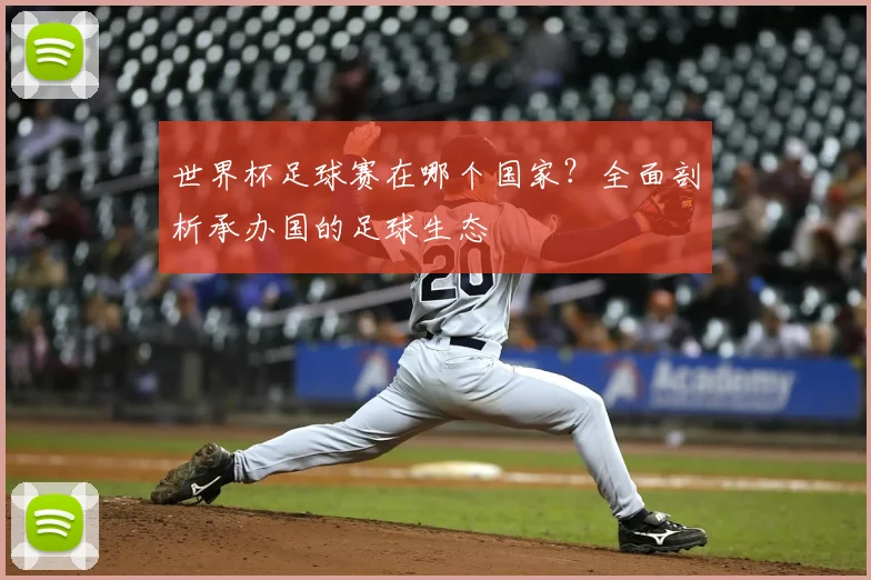 世界杯足球赛在哪个国家？全面剖析承办国的足球生态