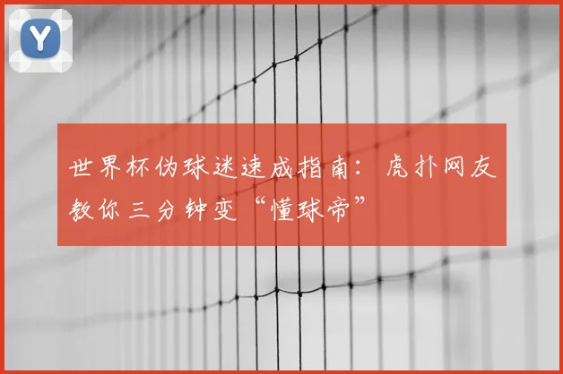 世界杯伪球迷速成指南:虎扑网友教你三分钟变“懂球帝”