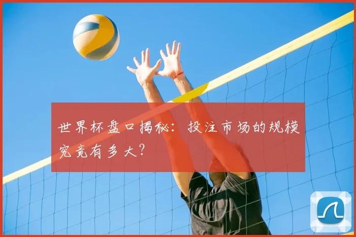 世界杯盘口揭秘：投注市场的规模究竟有多大？